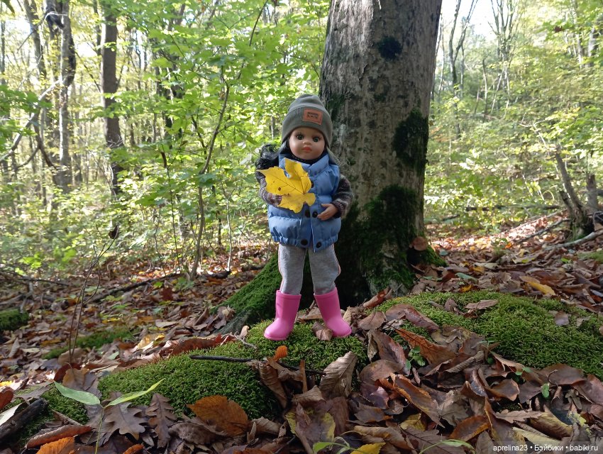 Как Нора за грибами ходила (фото 2)