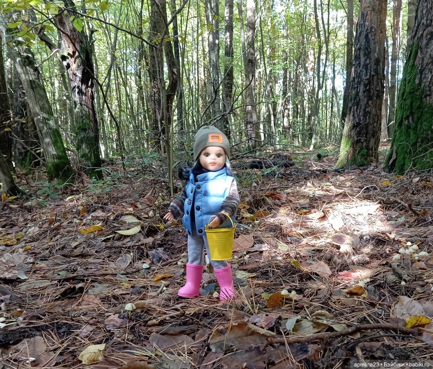 Как Нора за грибами ходила