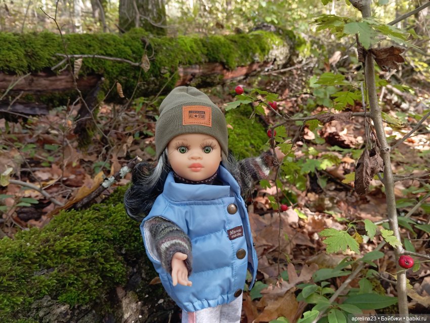 Как Нора за грибами ходила (фото 4)