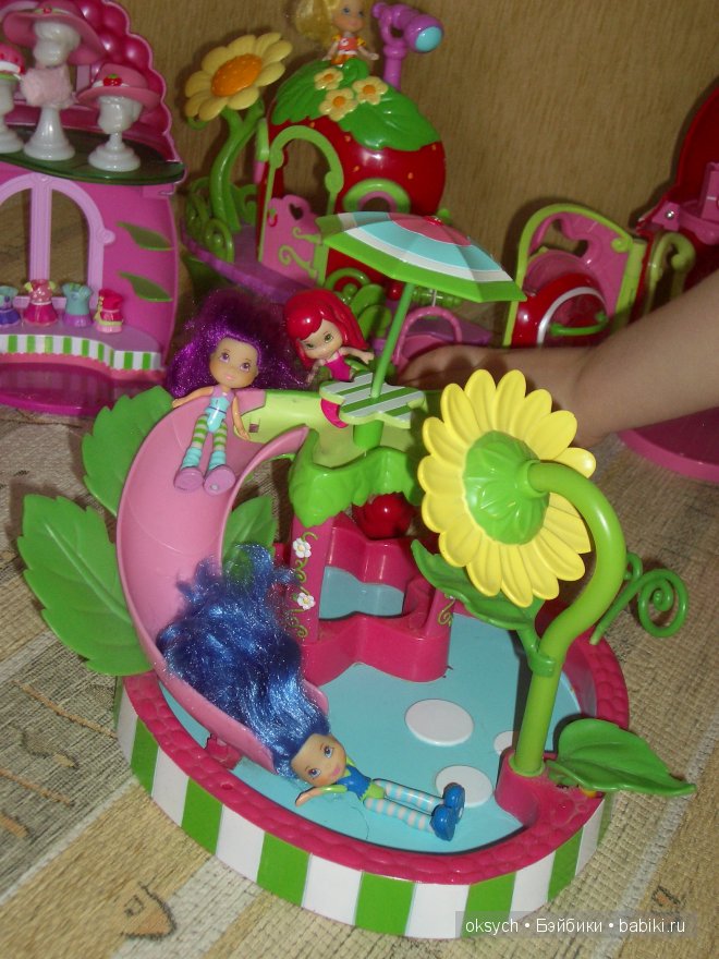 Plum Pudding and Blueberry Muffin in the swimming pool