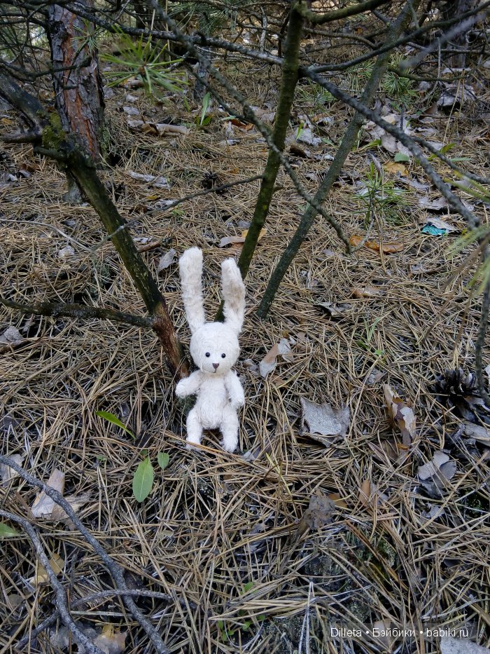 Весенний денёк и любимые краски