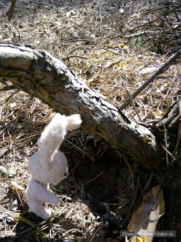 Весенний денёк и любимые краски