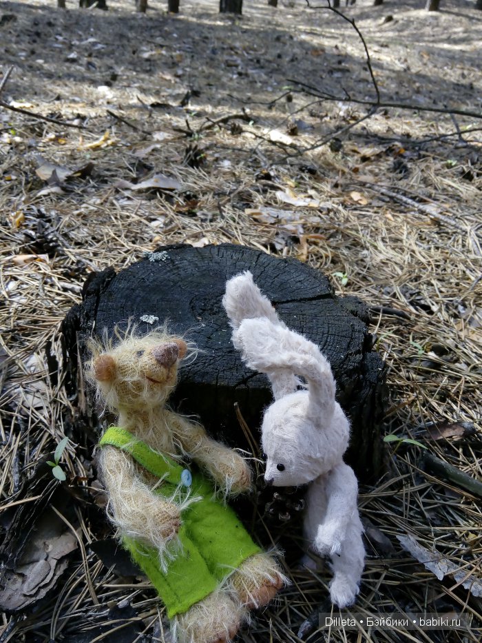 Весенний денёк и любимые краски