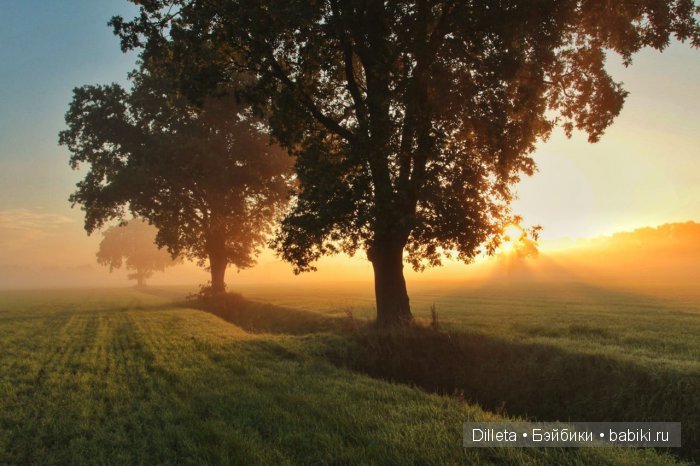 Путь в неизвестность — Фотоистории с куклами BJD (БЖД): сериалы (фото 5)