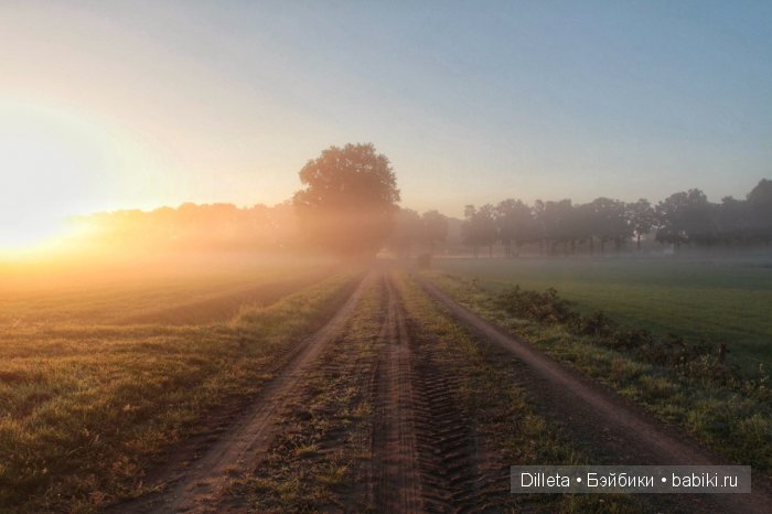 Путь в неизвестность — Фотоистории с куклами BJD (БЖД): сериалы (фото 6)