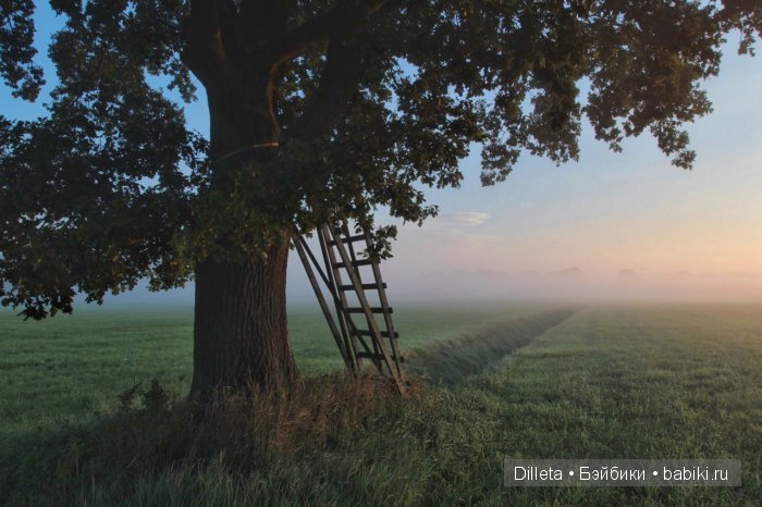 Путь в неизвестность — Фотоистории с куклами BJD (БЖД): сериалы (фото 7)