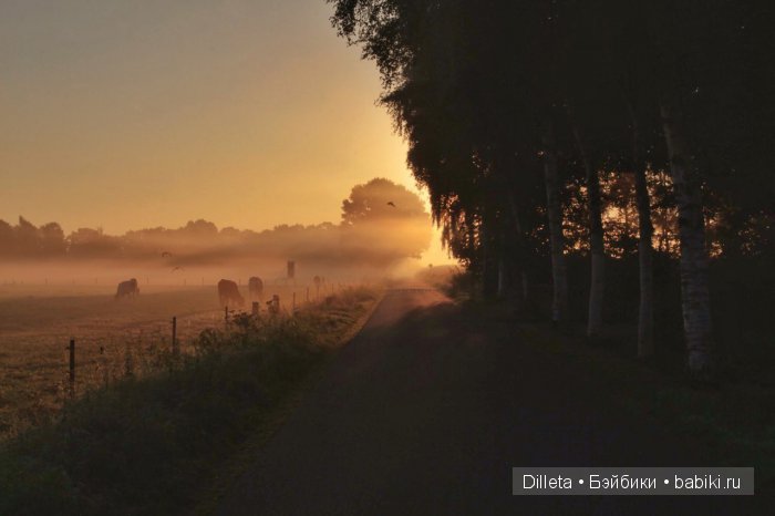 Путь в неизвестность — Фотоистории с куклами BJD (БЖД): сериалы (фото 4)