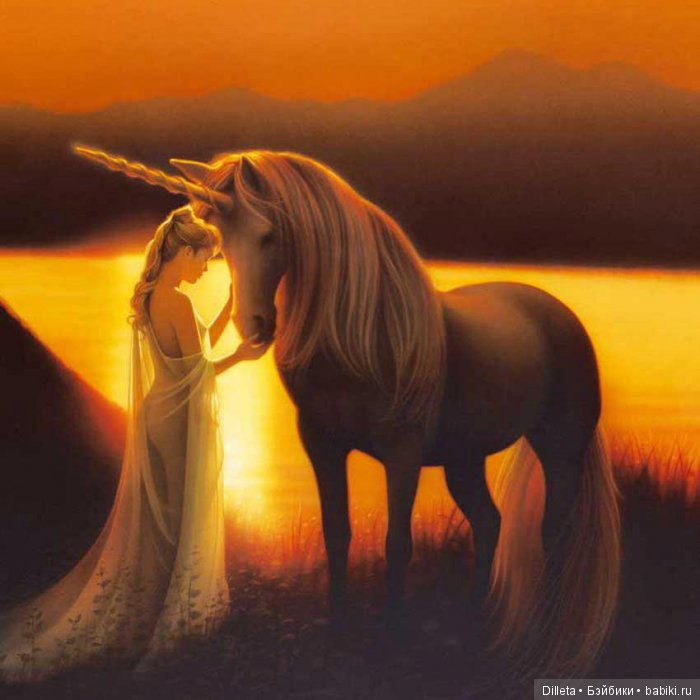 Путь в неизвестность — Фотоистории с куклами BJD (БЖД): сериалы (фото 4)