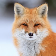 Как я НЕ продала свою куклу