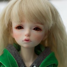 Продолжение истории про мою Лисичку. Путь в неизвестность