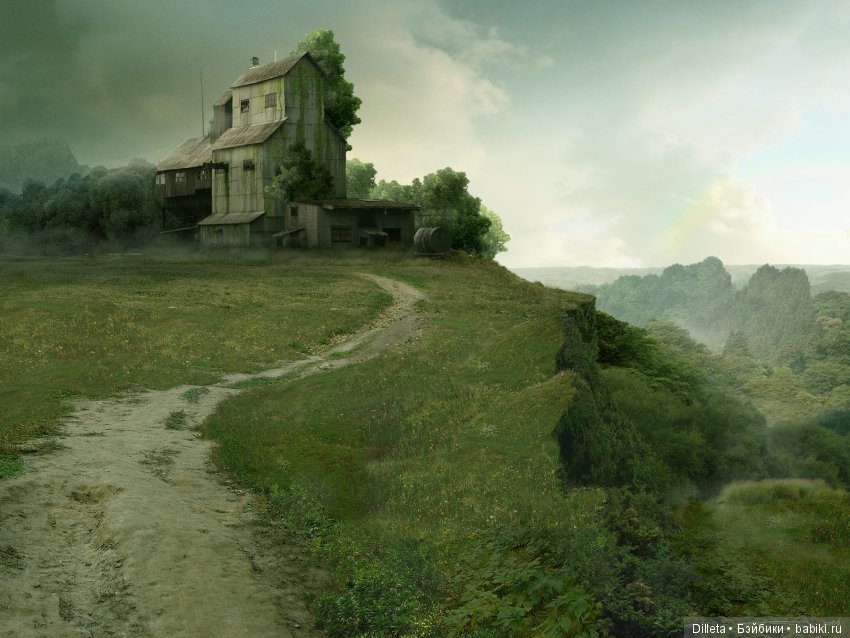 Продолжение истории про мою Лисичку. Путь в неизвестность (фото 2)