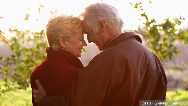 Продолжение истории про мою Лисичку. Путь в неизвестность (фото 3)