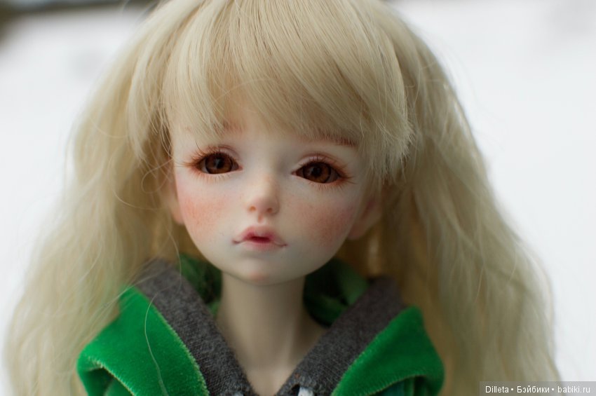 Продолжение истории про мою Лисичку. Путь в неизвестность