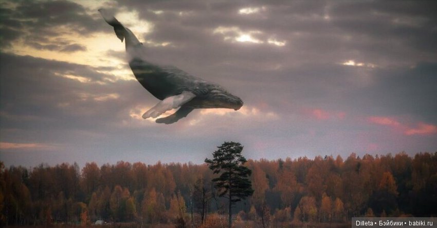 Маленькая балерина — Фотоистории с куклами BJD (БЖД): сериалы (фото 2)