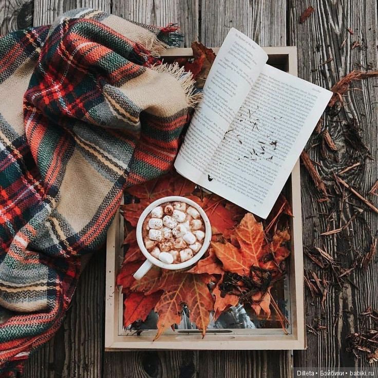 Ее величество Осень — Болталка и разговоры обо всем: жизнь