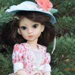 Мои несравненные Бердиночки