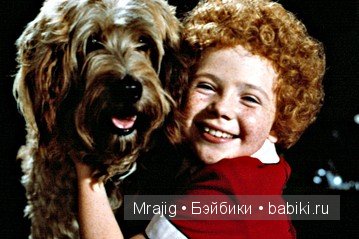 Эйлин Куинн