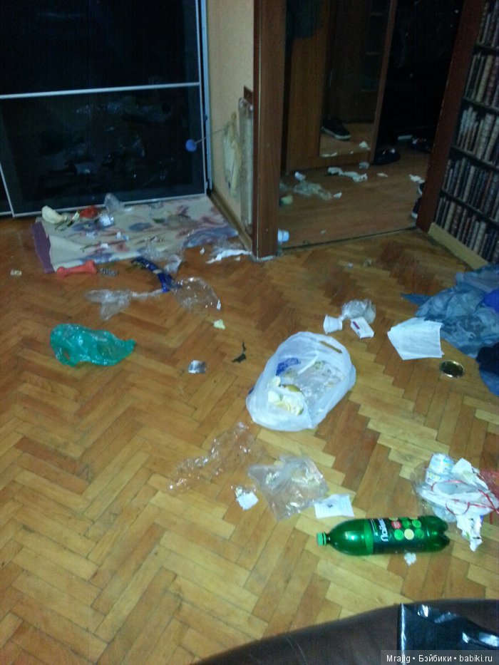 И собачек... Погром в квартире И собачек... Погром в квартире