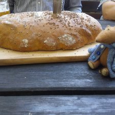 Из Чехии вернулись с пополнением