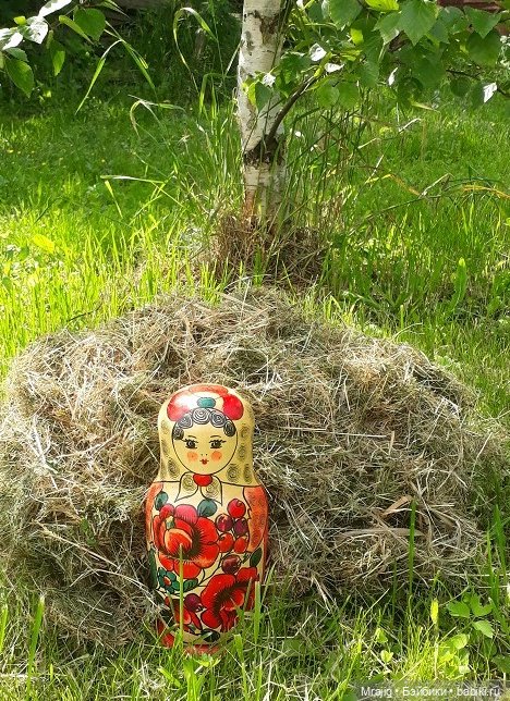 В полном разгаре страда деревенская. Миссис Бэйбики 2020