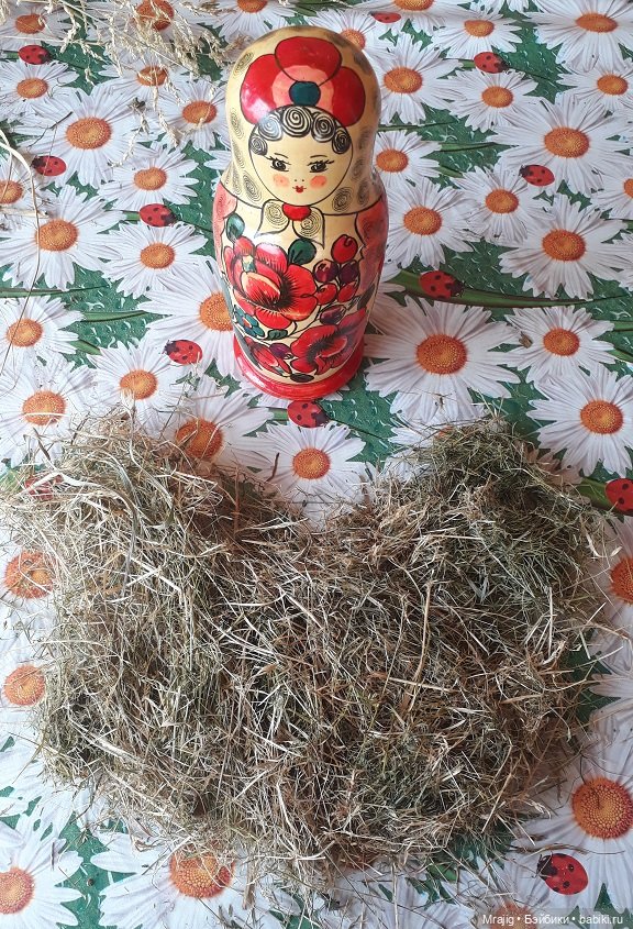 В полном разгаре страда деревенская. Миссис Бэйбики 2020 (фото 5)