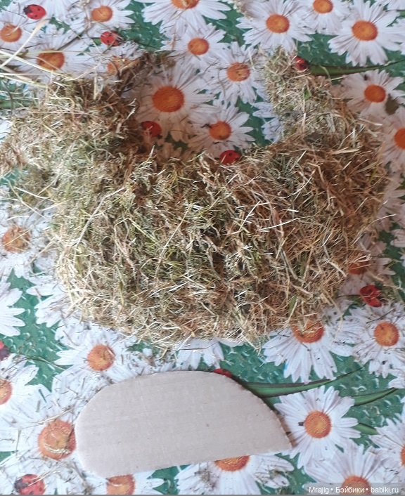 В полном разгаре страда деревенская. Миссис Бэйбики 2020 (фото 7)