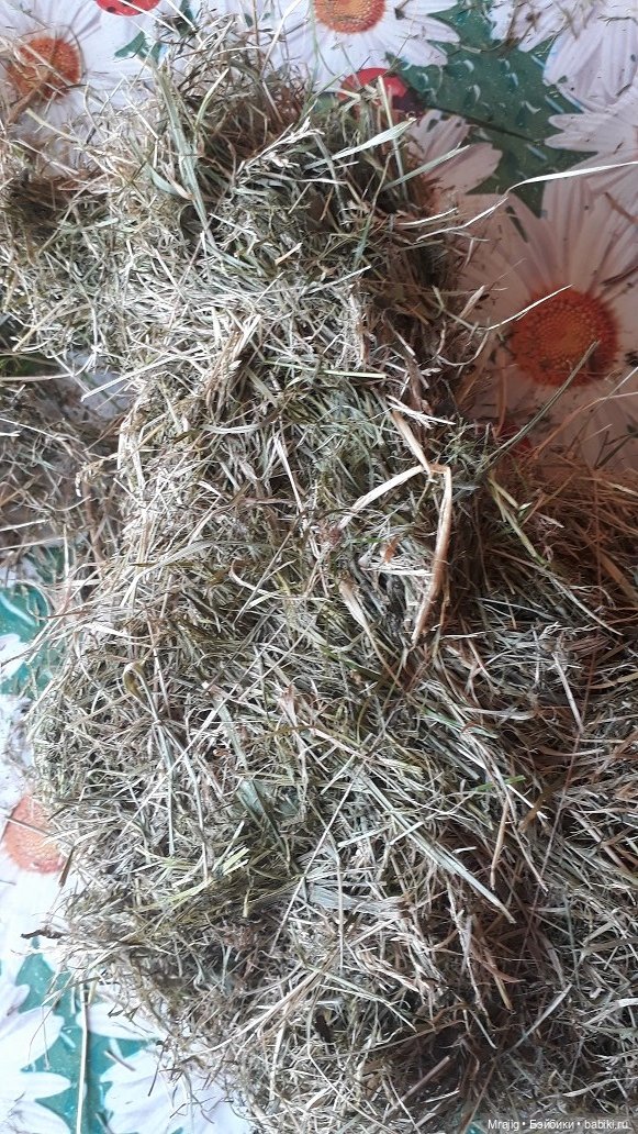 В полном разгаре страда деревенская. Миссис Бэйбики 2020 (фото 6)