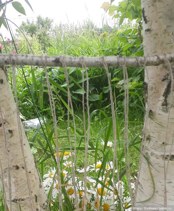 Кабы я была ткачиха. Миссис Бэйбики 2020 (фото 4)