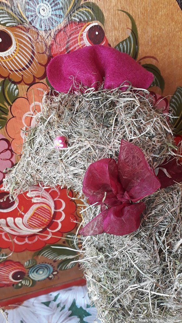 В полном разгаре страда деревенская. Миссис Бэйбики 2020 (фото 8)