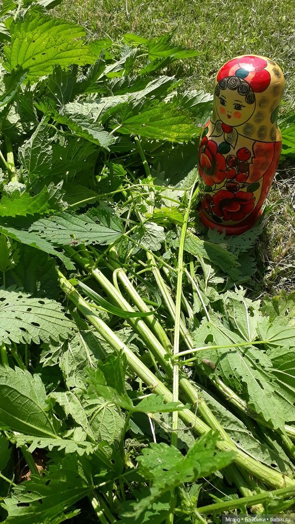 Идите в баню! Миссис Бэйбики 2020 (фото 9)