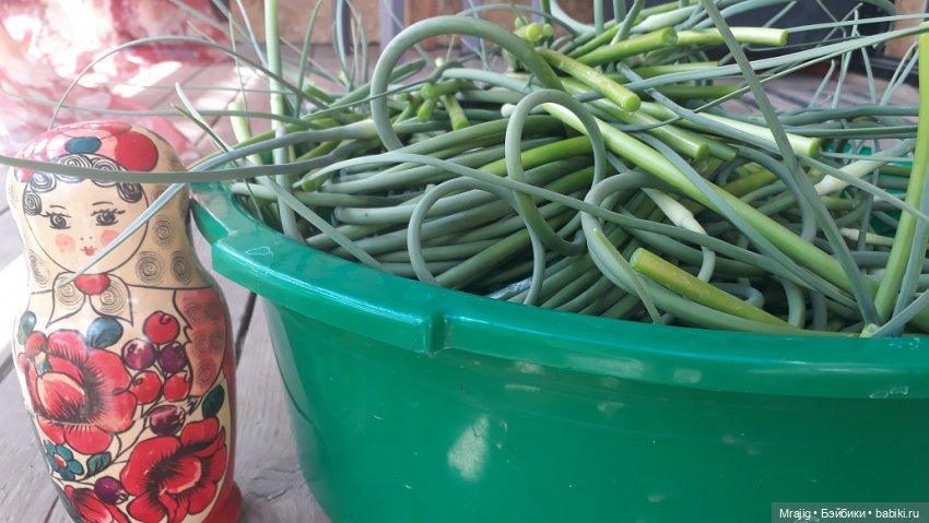 Во саду ли, во огороде. Миссис Бэйбики 2020 (фото 3)