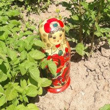 Во саду ли, во огороде. Миссис Бэйбики 2020