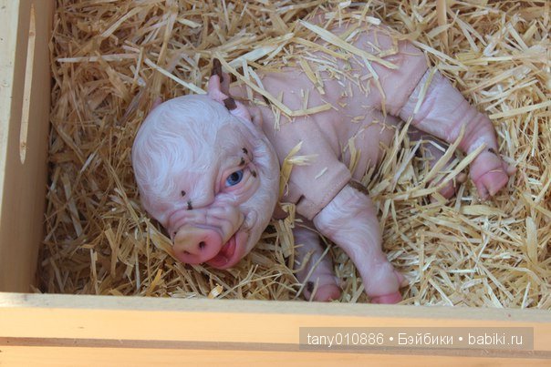 Вот какое чудо — Интересное и необычное: фотоподборки (фото 9)