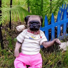 Наши первые цветы