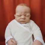 Реалистичная кукла Ashton Drake Galleries ''Welcome Home, Baby Emily''  Linda Webb