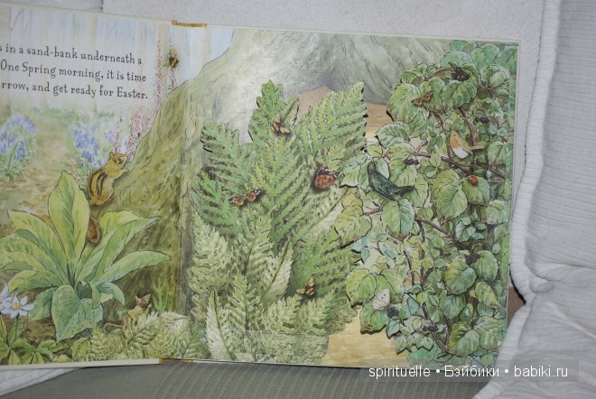 Моя коллекция Beatrix Potter или когда интересно не только ребенку | Бэйбики Моя коллекция Beatrix Potter или когда интересно не только ребенку