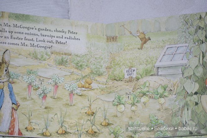 Моя коллекция Beatrix Potter или когда интересно не только ребенку | Бэйбики Моя коллекция Beatrix Potter или когда интересно не только ребенку
