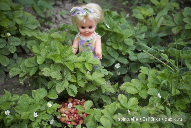 Неизвестная "немочка" или немочка ли вообще (фото 9)