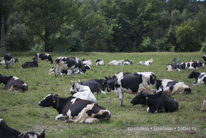Неизвестная "немочка" или немочка ли вообще