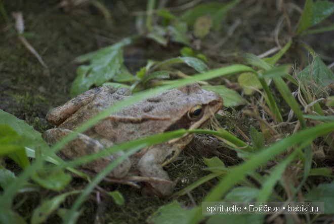 Мои дачно-чердачные находки-продолжение.Куклы