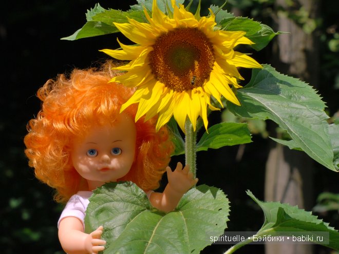 Наши куклы на даче или еще немного лета