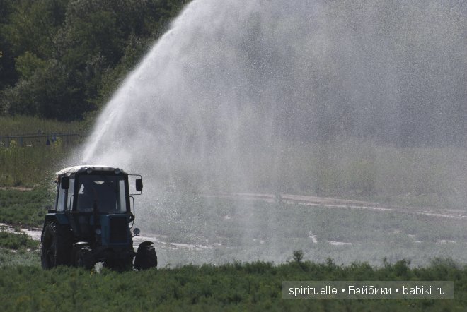 Наши куклы на даче или еще немного лета