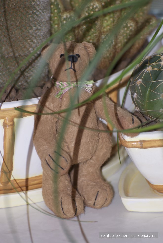 Как я попала в мир тедди или с чего все начиналось