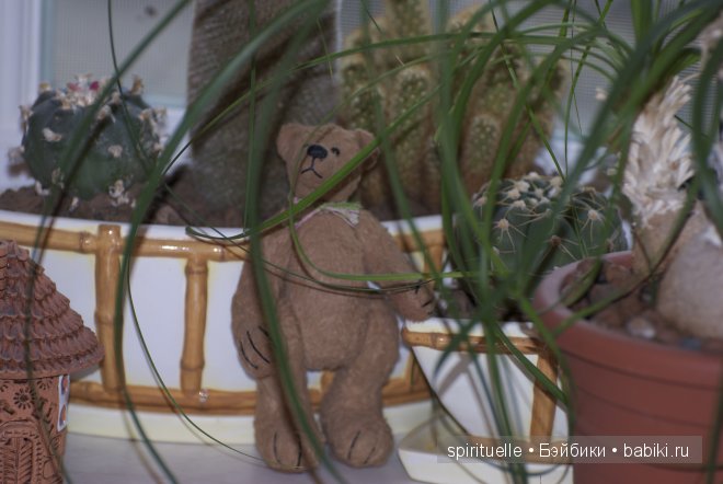 Как я попала в мир тедди или с чего все начиналось