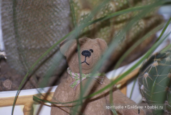 Как я попала в мир тедди или с чего все начиналось