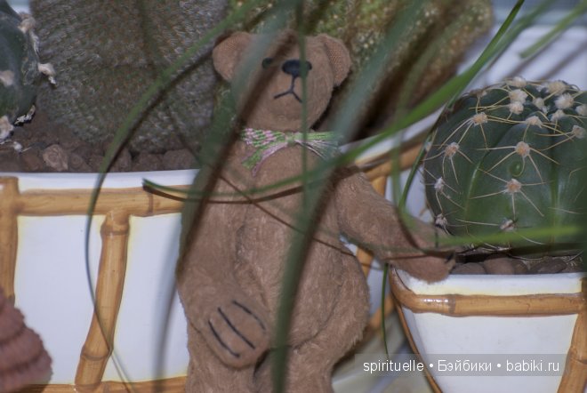 Как я попала в мир тедди или с чего все начиналось