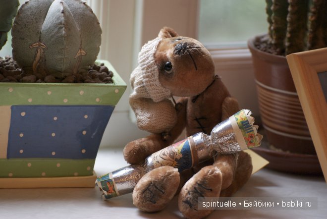 Как я попала в мир тедди или с чего все начиналось... продолжение