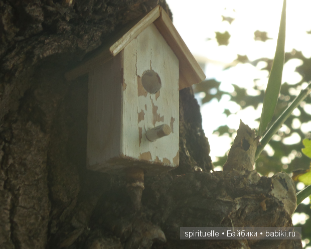 Неожиданная детка или так бывает (фото 5)