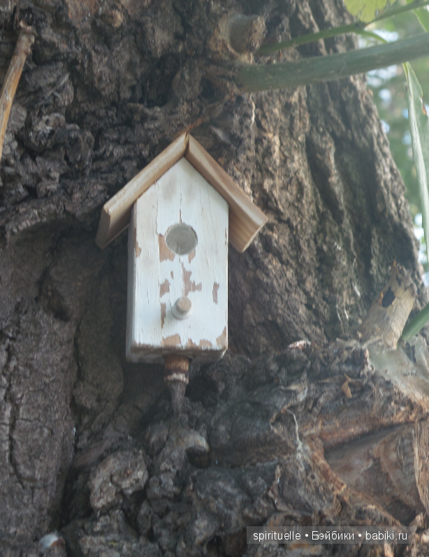 Неожиданная детка или так бывает (фото 6)