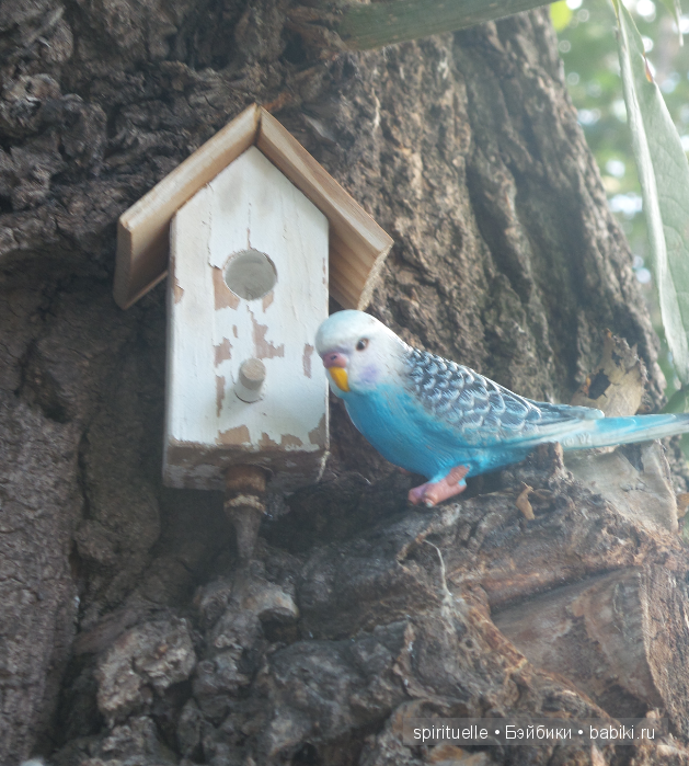 Неожиданная детка или так бывает (фото 7)
